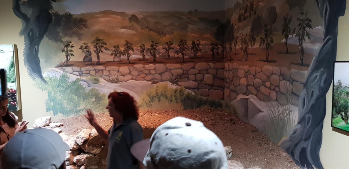 ADEFE CARAVANA ISRAEL 2019 (134)