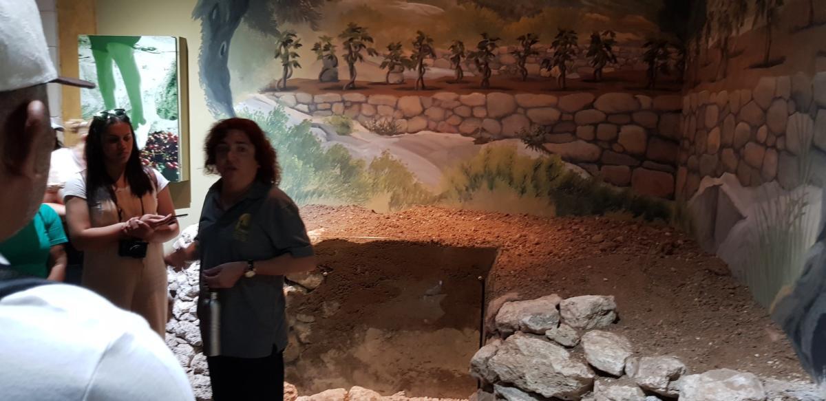 ADEFE CARAVANA ISRAEL 2019 (207)
