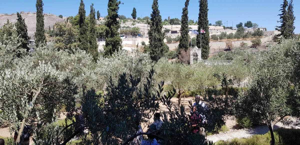 ADEFE CARAVANA ISRAEL 2019 (222)