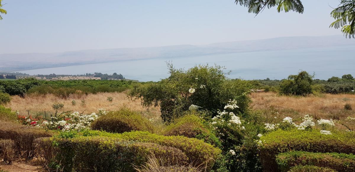 ADEFE CARAVANA ISRAEL 2019 (229)