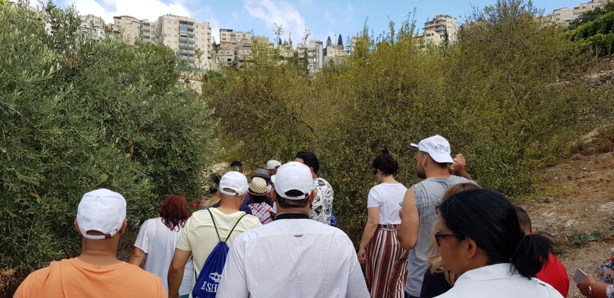 ADEFE CARAVANA ISRAEL 2019 (231)