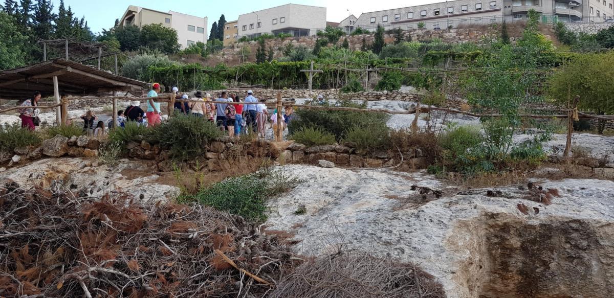 ADEFE CARAVANA ISRAEL 2019 (268)