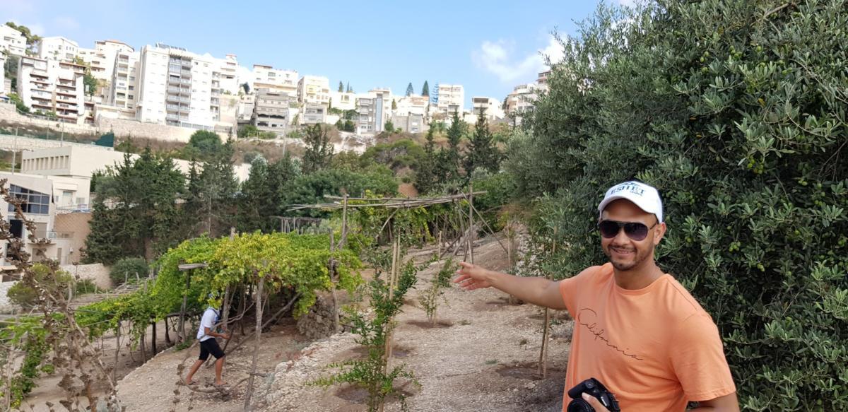 ADEFE CARAVANA ISRAEL 2019 (314)