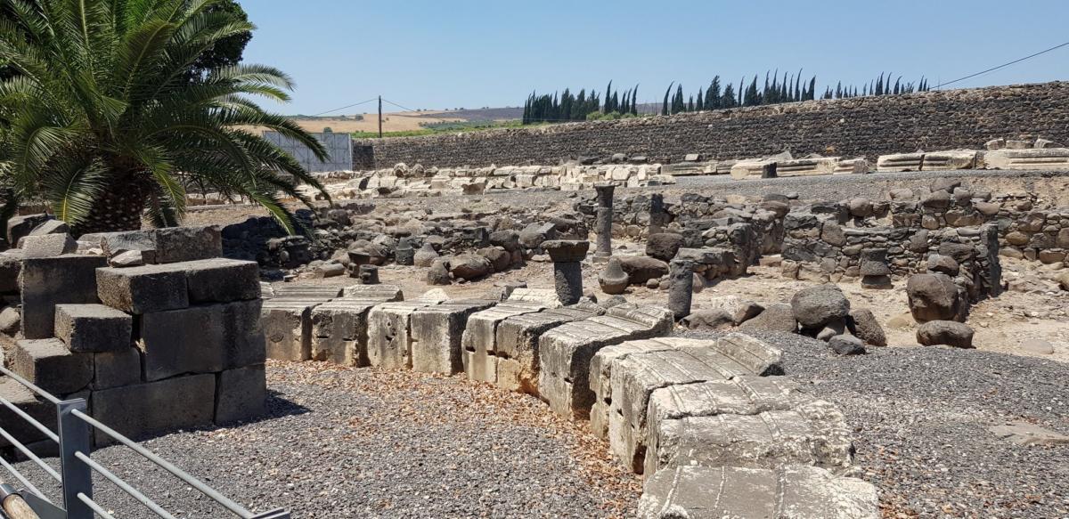 ADEFE CARAVANA ISRAEL 2019 (338)