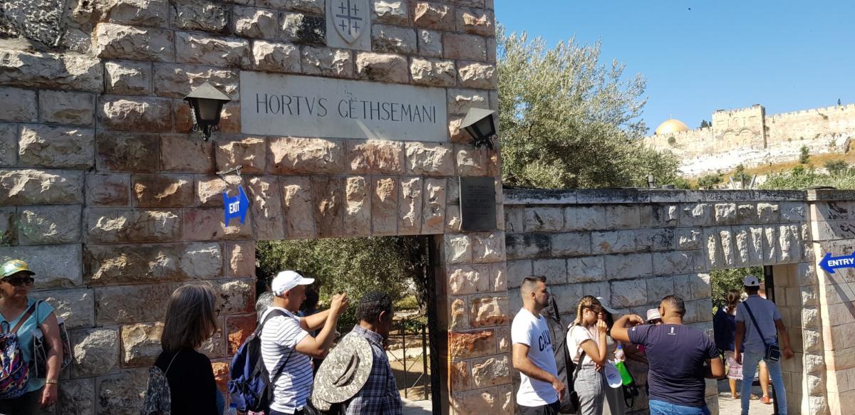 ADEFE CARAVANA ISRAEL 2019 (46)
